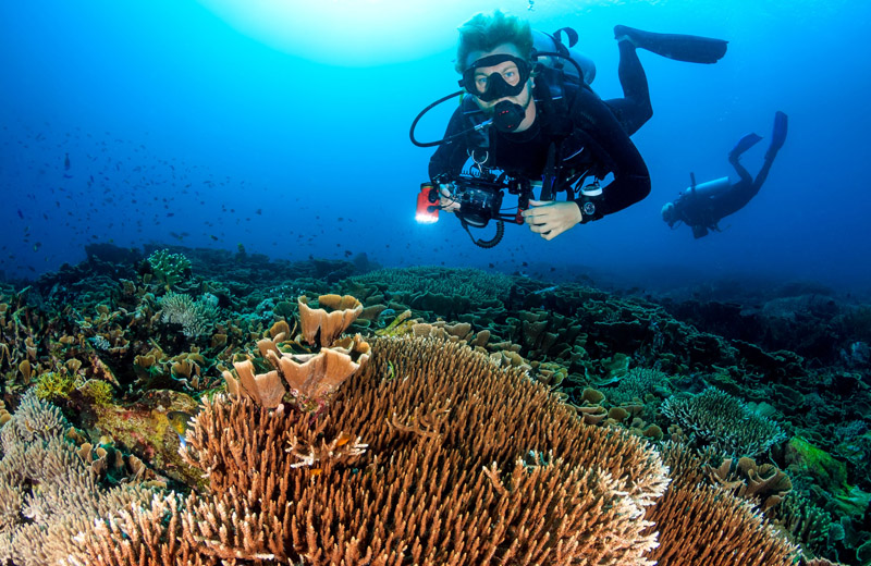 Diving in Sri Lanka