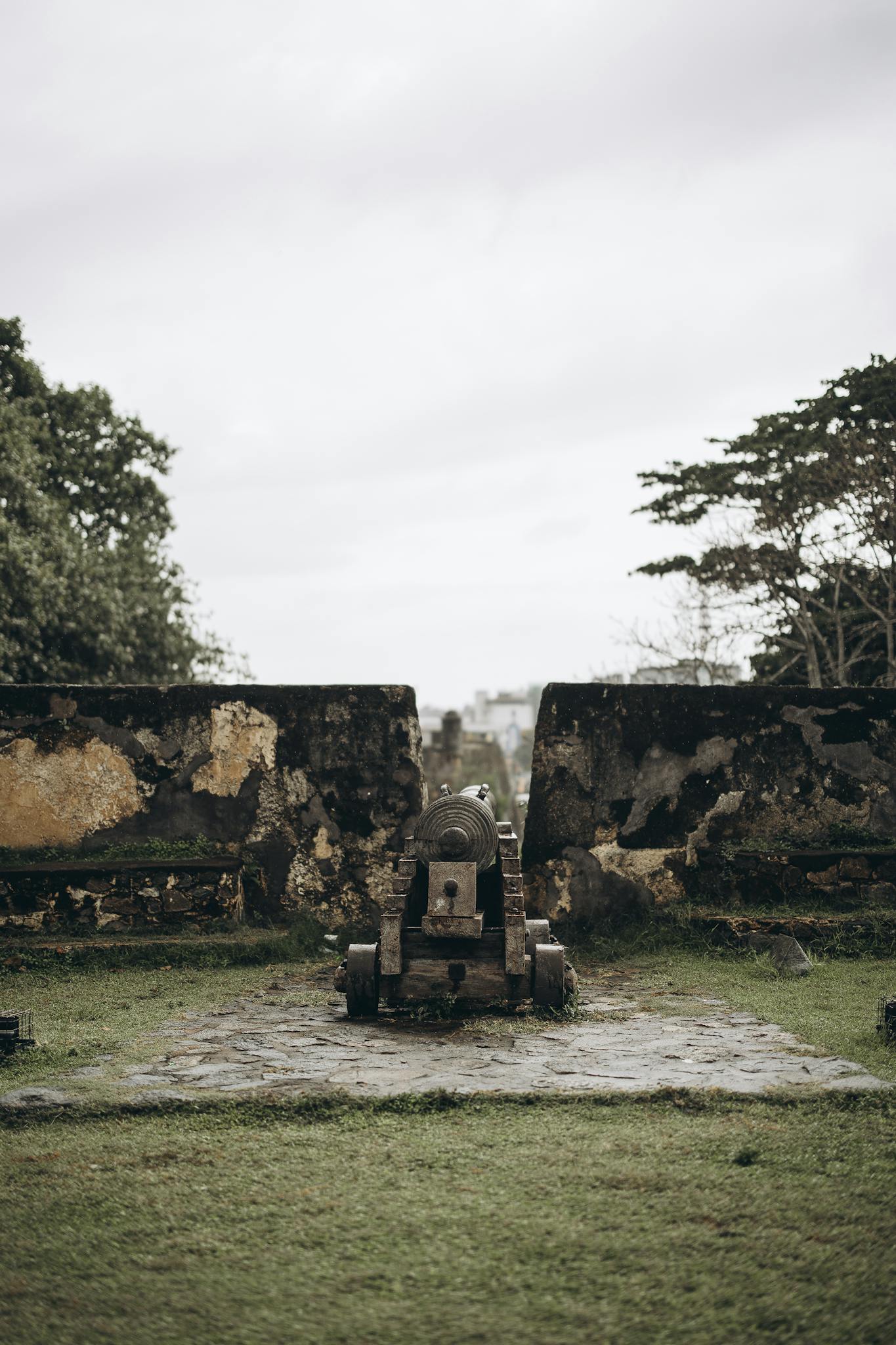 Ancient cannon in a lush green setting at Galle Fort, Sri Lanka.