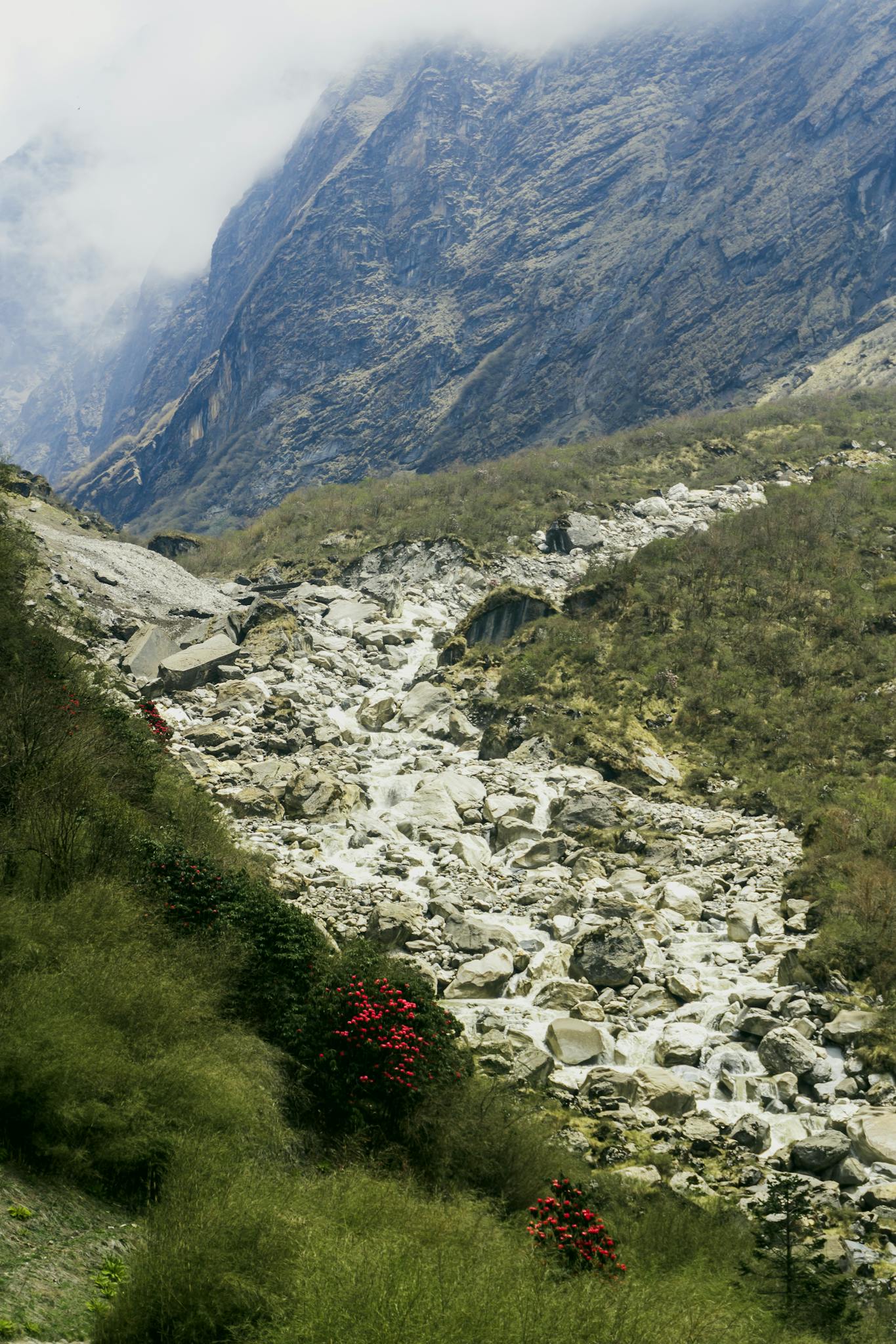 Majestic view of Annapurna mountain range in Nepal with rocky terrain and lush vegetation.